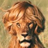 lion hairstyle
